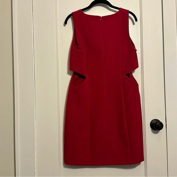 Elegant Redish Magenta Sleeveless Dress - Picture 2 of 6